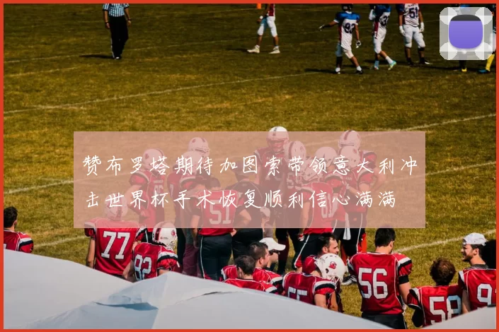 赞布罗塔期待加图索带领意大利冲击世界杯手术恢复顺利信心满满