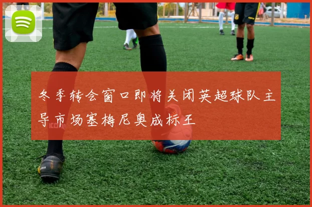 冬季转会窗口即将关闭英超球队主导市场塞梅尼奥成标王